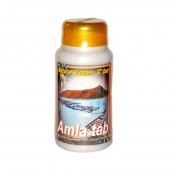 amla shri ganga. амла шри ганга. натуральный анти-оксидант, эликсир молодости, витамин с. 200 таб. индия
