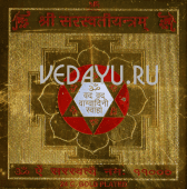 шри сарасвати янтра. shri saraswati yantra. благословение и помощь в развитии интеллекта, памяти, обучаемости и творчества. медный сплав 8х8 см. индия