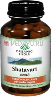 шатавари органик в вегетарианских капсулах. shatavari organic india. омоложение женской половой системы. 60 таб. по 400 мг.  индия